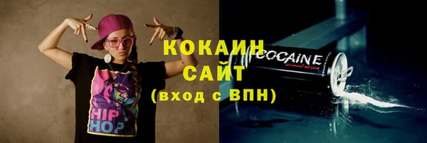 твердый Алексеевка