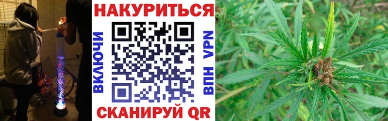 Бошки Шишки планчик  Заполярный 